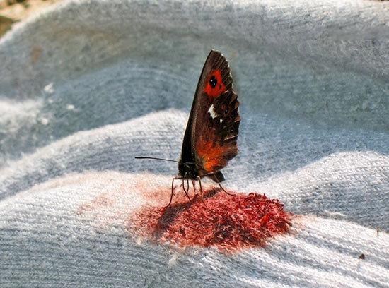 حقایقی جالب که جهان را از زاویهای متفاوت نشان میدهند (+عکس) حقایقی جالب که جهان را از زاویهای متفاوت نشان میدهند (+عکس)