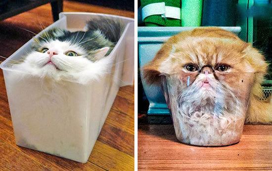 حقایقی جالب که جهان را از زاویهای متفاوت نشان میدهند (+عکس) حقایقی جالب که جهان را از زاویهای متفاوت نشان میدهند (+عکس)