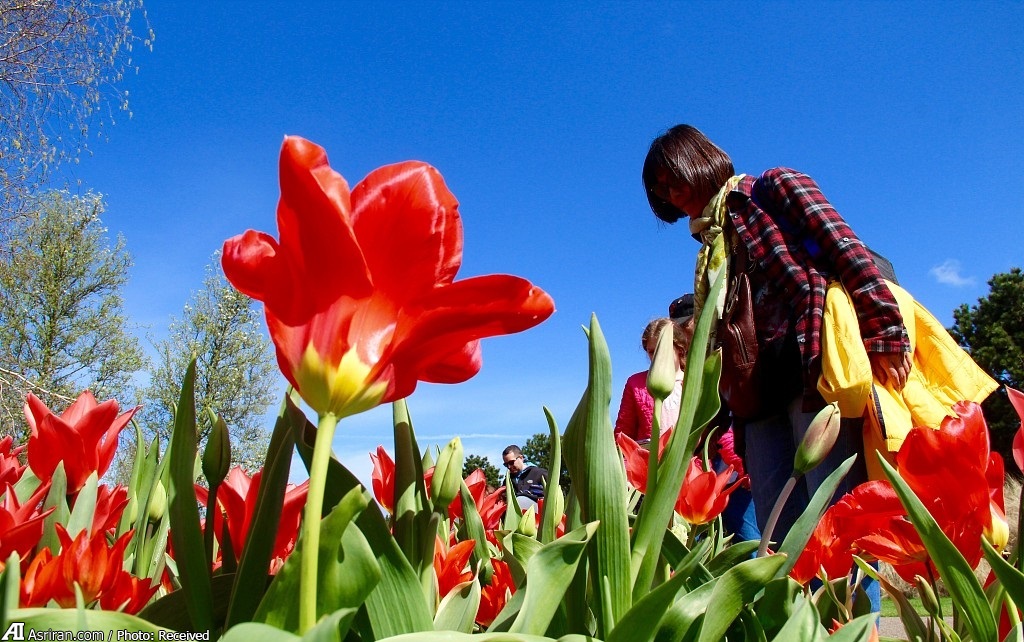 برترین اقتصادهای جهان در جذب 