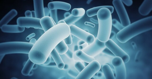 تکذیب ادعای انتشار گسترده ویروس ناشناخته در لردگان