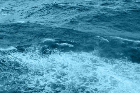 اسیدی&zwnj; شدن اقیانوس&zwnj;ها، عامل نابودی انبوه حیات دریایی