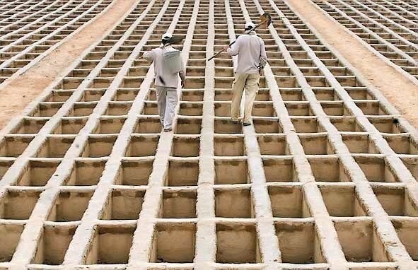 بهشت زهرا: سالانه 15 هزار قبر رایگان در اختیار مردم قرار می&zwnj;دهیم