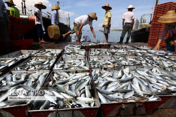 1000 ماهیگیر هندی هنوز در ایران به سر می&zwnj;برند