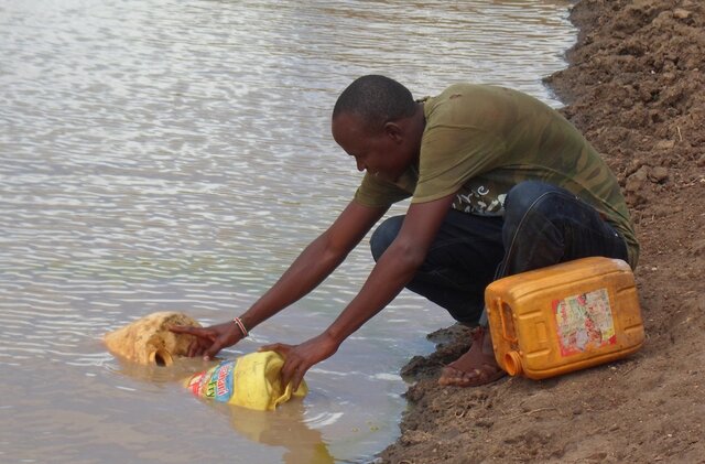 بیماری&zwnj;های ناشی از پشه&zwnj;ها