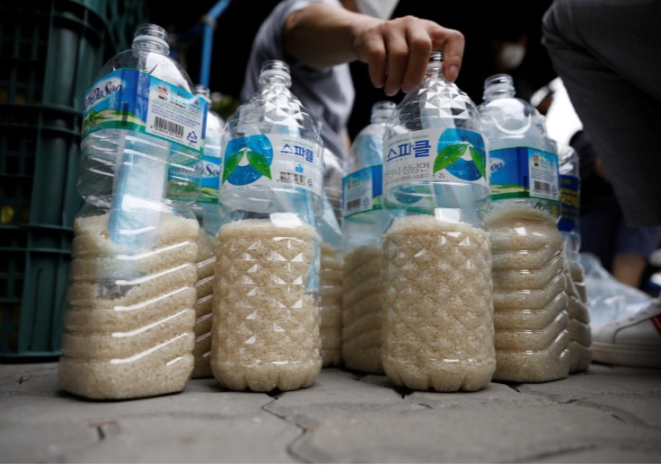 کره شمالی بطری برنج