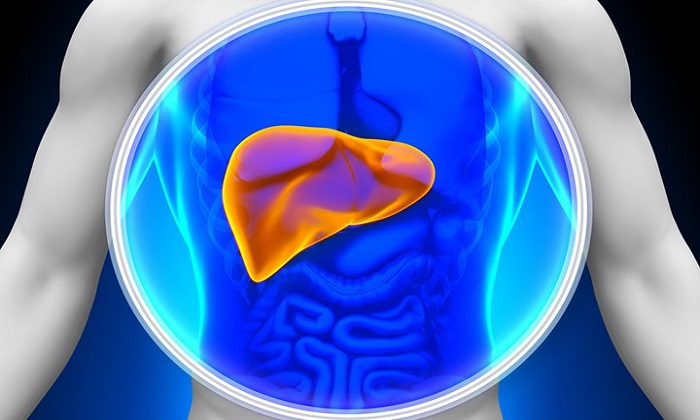 کبد چرب و 15 نشانه آن کبد چرب و 15 نشانه آن