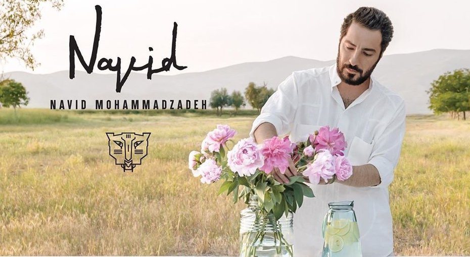 نوید محمدزاده 3