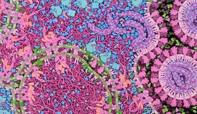 کروناویروس