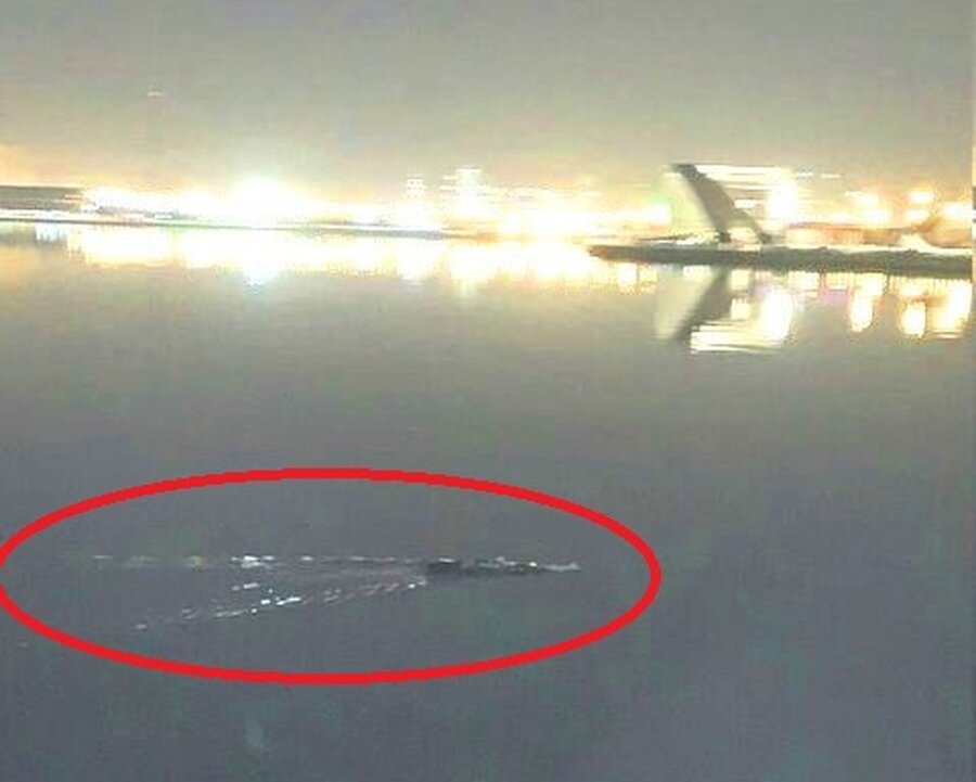 تمساحهایتان را به سازمان محیط زیست تحویل دهید! تمساح چیتگر