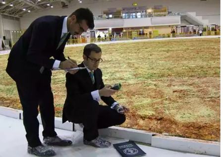 بزرگ ترین خوراکی ها که در کتاب گینس ثبت شدند (+عکس) بزرگ ترین خوراکی ها که در کتاب گینس ثبت شدند (+عکس)