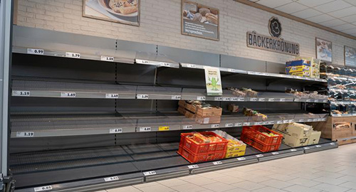 جهان بدون زنبور چگونه است؟ جهان بدون زنبور چگونه است؟