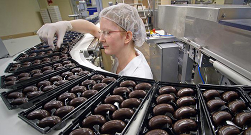 جهان بدون زنبور چگونه است؟ جهان بدون زنبور چگونه است؟