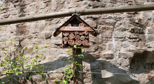 جهان بدون زنبور چگونه است؟ جهان بدون زنبور چگونه است؟