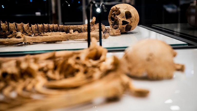 یک وایکینگ بعد از 1000 سال به دوستانش پیوست یک وایکینگ بعد از 1000 سال به دوستانش پیوست