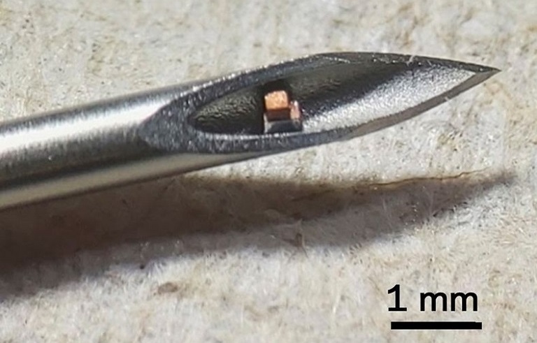 معرفی کوچک&zwnj;ترین تراشه قابل کاشت جهان توسط پژوهشگران دانشگاه کلمبیا