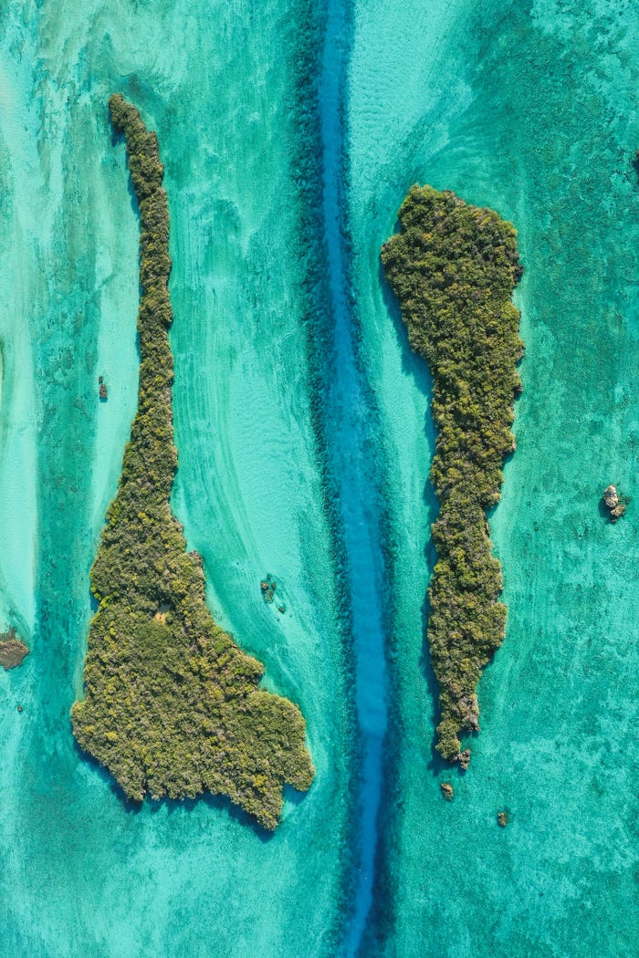 نمایی شگفت انگیز از حیات زیرآبی در مسابقه عکس روز جهانی اقیانوس نمایی شگفت انگیز از حیات زیرآبی در مسابقه عکس روز جهانی اقیانوس