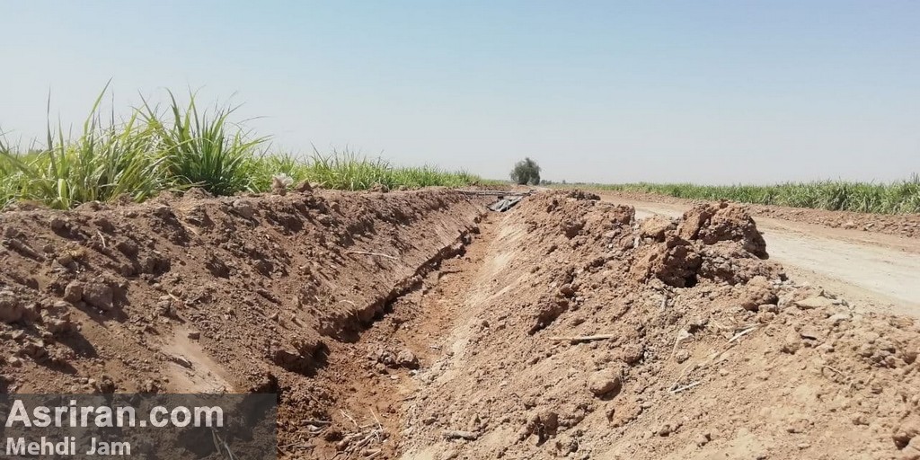 بحران بی آبی در مزارع هفت تپه/ خروج 500 هکتار از چرخه تولید (+عکس و فیلم) بحران بی آبی در مزارع هفت تپه/ خروج 500 هکتار از چرخه تولید (+عکس و فیلم)