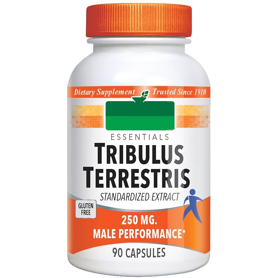 همه چیز درباره گیاه شگفت انگیز خارخَسَک