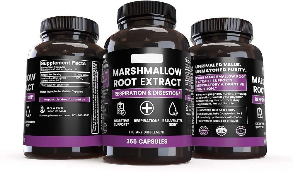 همه چیز درباره پنیرک پف &zwnj;نبات، گیاه فوق العاده باستانی