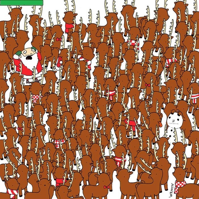 آیا می توانید خرس پنهان شده میان گوزن ها را پیدا کنید؟ (تصویر)