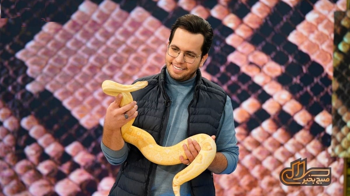 حامد+سلطانی مهران رجبی ؛ تنها گزینه در دسترس یا سندروم حذف در تلویزیون ؟