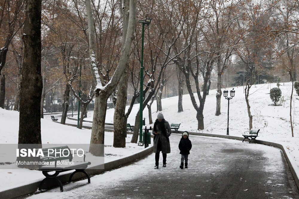 در ستایش بطالت!