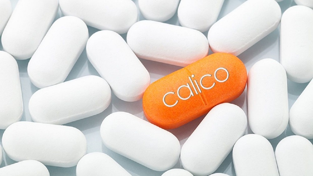 کالیکو گوگل کالیکو گوگل