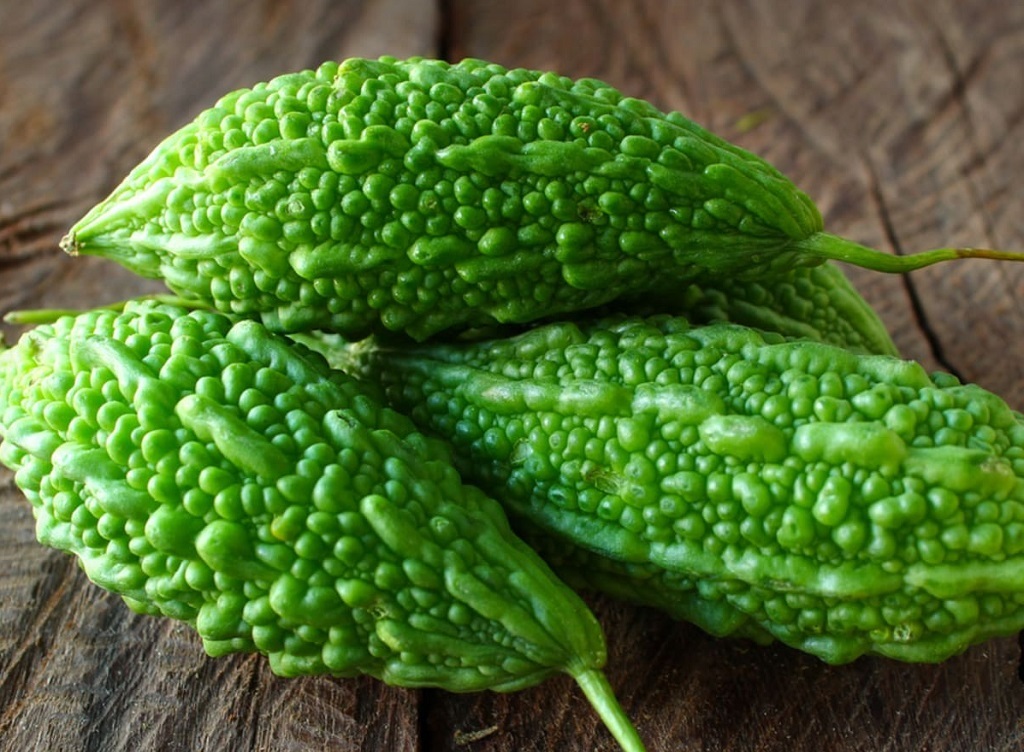 همه چیز درباره “خیار تلخ”؛ یک میوه شگفت انگیز! همه چیز درباره “خیار تلخ”؛ یک میوه شگفت انگیز!