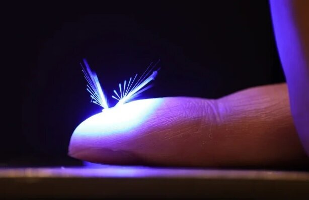 جایگزین‌ زنبورها برای نجات بشریت