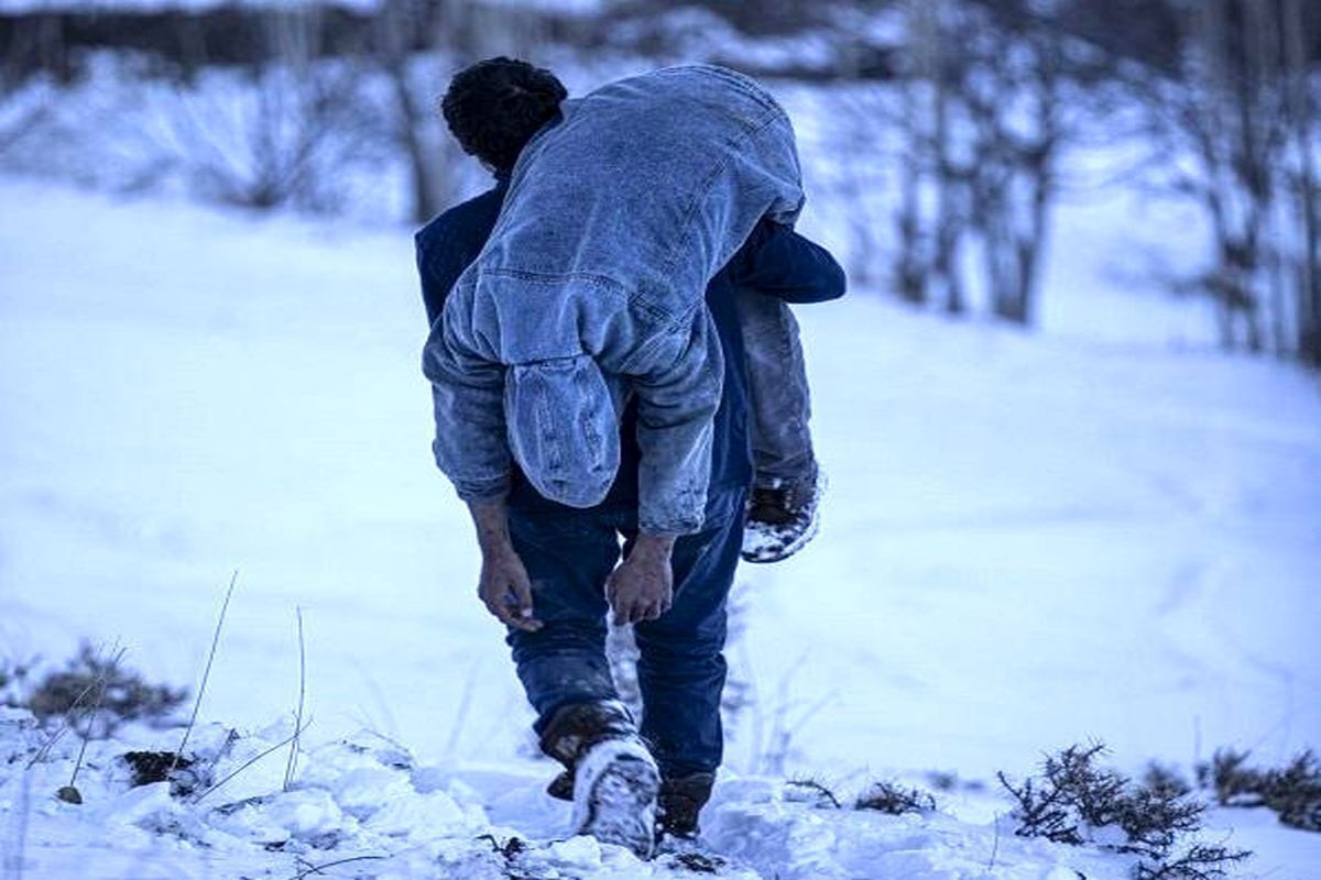 آه سرد روز دوم جشنواره فجر چهل و یکم در سینما رسانه ؛ فیلمها و حاشیهها (+عکس)