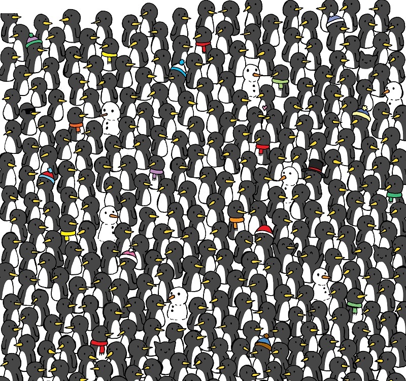 باشگاه مغز | گربه های پنهان را در کمتر از 10 ثانیه پیدا کنید!