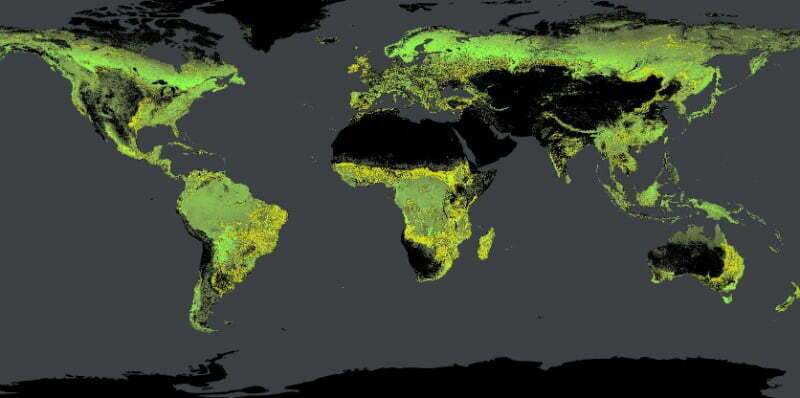 جایگاه ایران در برنامه جهانی کاشت 1 تریلیون درخت تا سال 2030 جایگاه ایران در برنامه جهانی کاشت 1 تریلیون درخت تا سال 2030