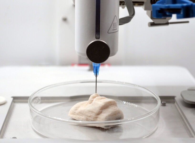 باکتری چاپ سه بعدی باکتری چاپ سه بعدی