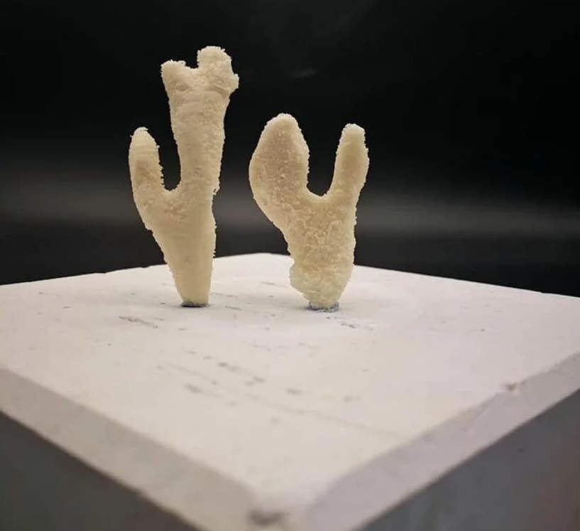 باکتری چاپ سه بعدی باکتری چاپ سه بعدی