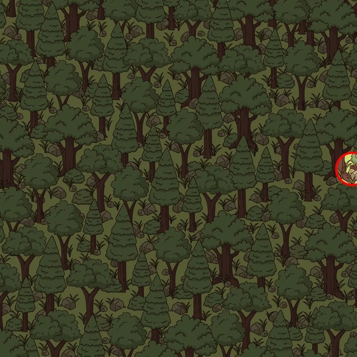 آیا می توانید خارپشت پنهان شده در جنگل را پیدا کنید؟ (تصویر) آیا می توانید خارپشت پنهان شده در جنگل را پیدا کنید؟ (تصویر)