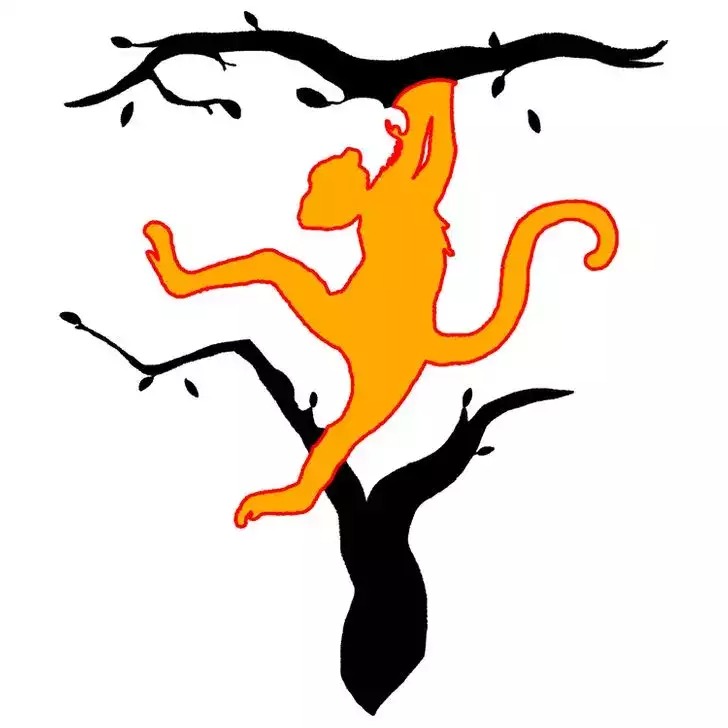 کدام حیوان را ابتدا می بینید؟ کدام حیوان را ابتدا می بینید؟