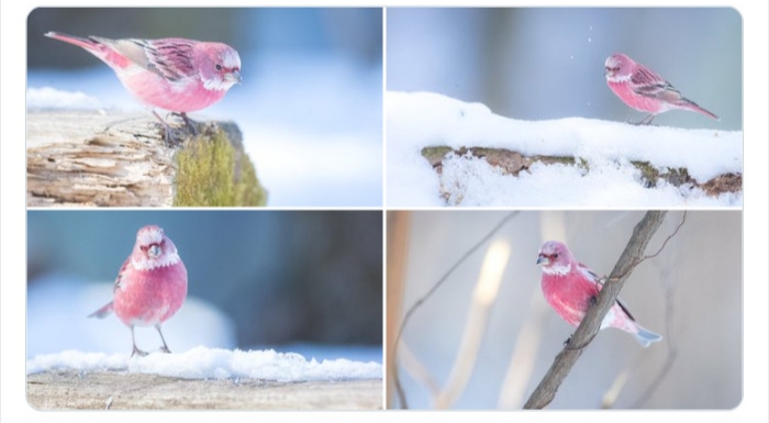 به باغوحش حیوانات عجیب خوش آمدید به باغوحش حیوانات عجیب خوش آمدید