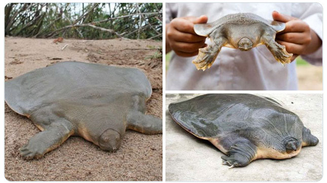 به باغوحش حیوانات عجیب خوش آمدید به باغوحش حیوانات عجیب خوش آمدید