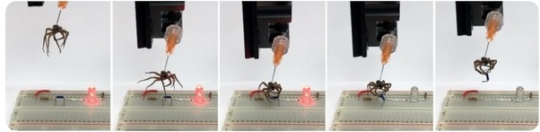 پژوهشگران با تزریق هوا به عنکبوت مرده، ربات زامبی چنگک&zwnj;دار ساختند