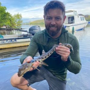 برای اولین بار در تاریخ گونههای کمیاب: کوسهای که راه میرود برای اولین بار در تاریخ گونههای کمیاب: کوسهای که راه میرود