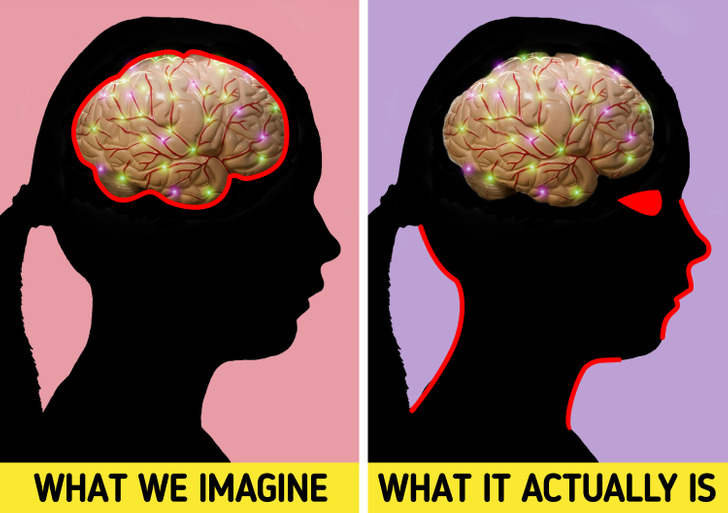 10 راز عجیب درباره بدن انسان که نمی دانستید 10 راز عجیب درباره بدن انسان که نمی دانستید