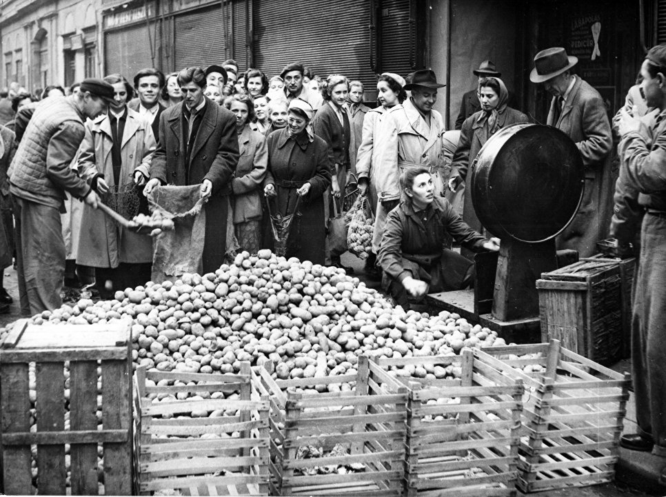 طـرز پختن سیب زمینی در زمان قاجار