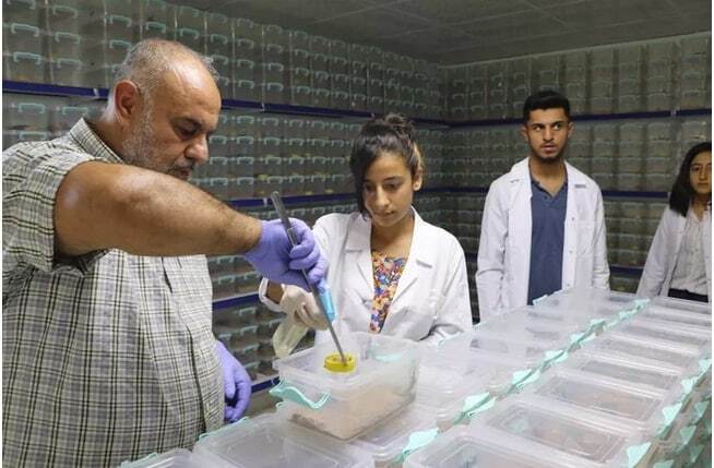 زهر عقرب، لیتری ۱۰ میلیون دلار