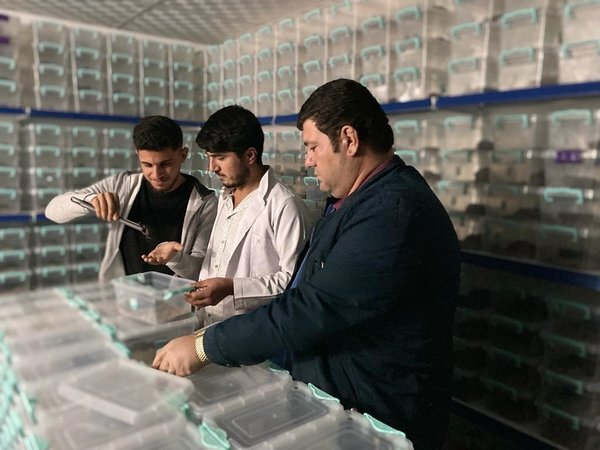 زهر عقرب، لیتری ۱۰ میلیون دلار