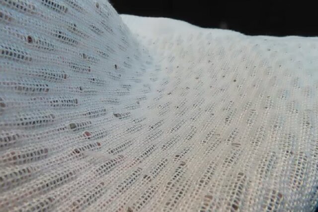 شارژ عجیب تلفن همراه با لباس! شارژ عجیب تلفن همراه با لباس!