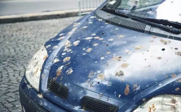 مهم‌ترین عوامل نابودی رنگ خودرو