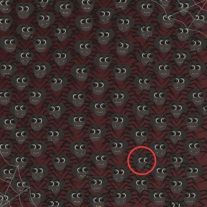 باشگاه مغز | عنکبوت متفاوت را پیدا کنید! (معمای تصویری) باشگاه مغز | عنکبوت متفاوت را پیدا کنید! (معمای تصویری)