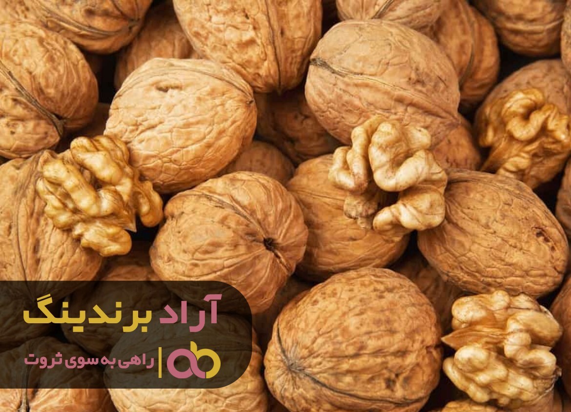 فروش گردو پوست کاغذی به قیمت عمده