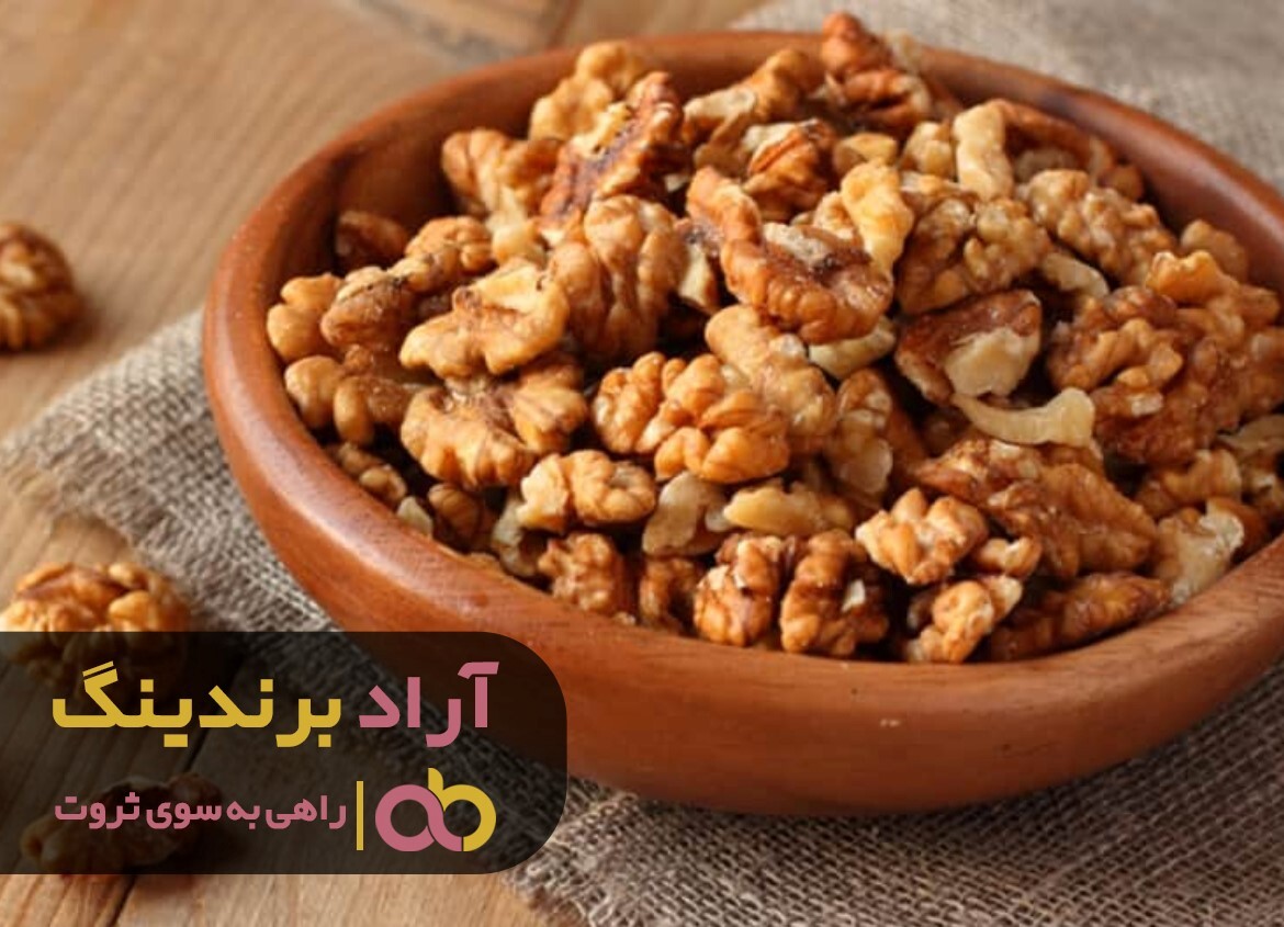 فروش گردو پوست کاغذی به قیمت عمده