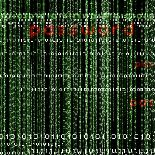 مدیر شرکت امنیت سایبری مدیر شرکت امنیت سایبری